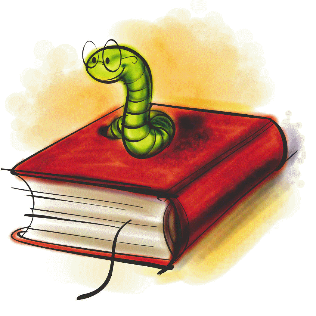 Dokümantasyon İçerikler